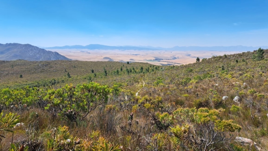 0 Bedroom Property for Sale in Caledon Rural Western Cape